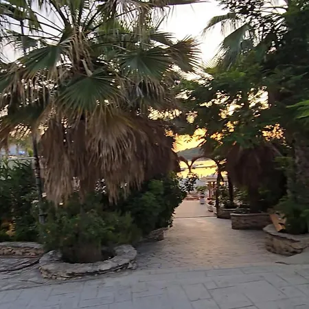 Elio's 3* クサミル